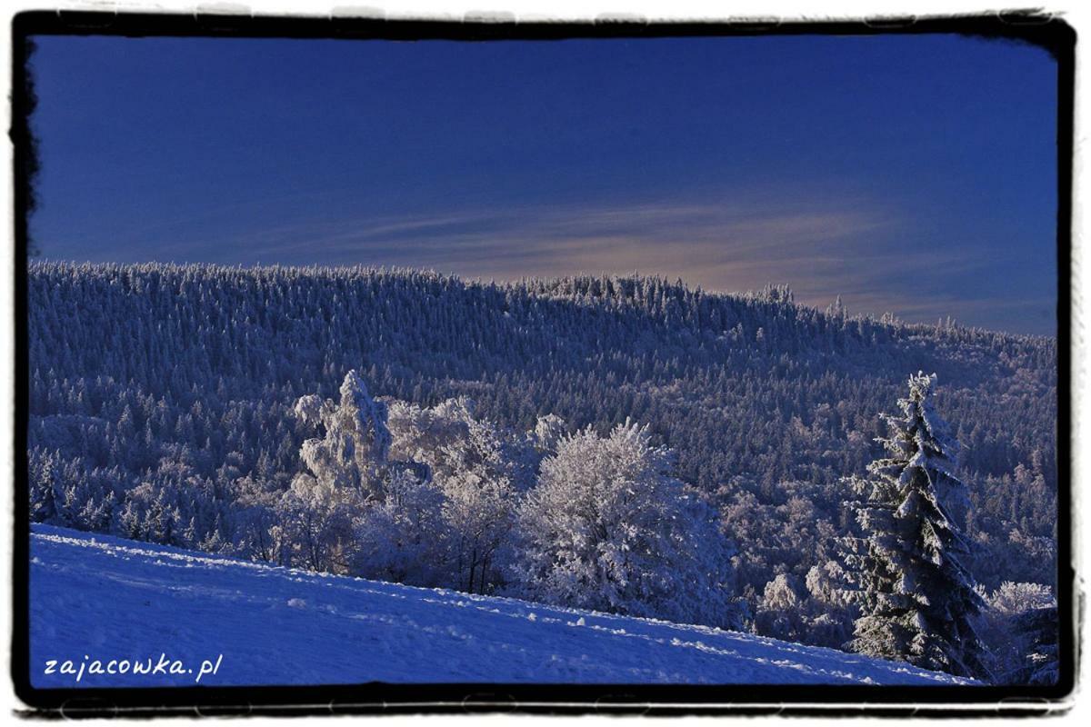 Zajacowka Villa Polanica-Zdroj Luaran gambar